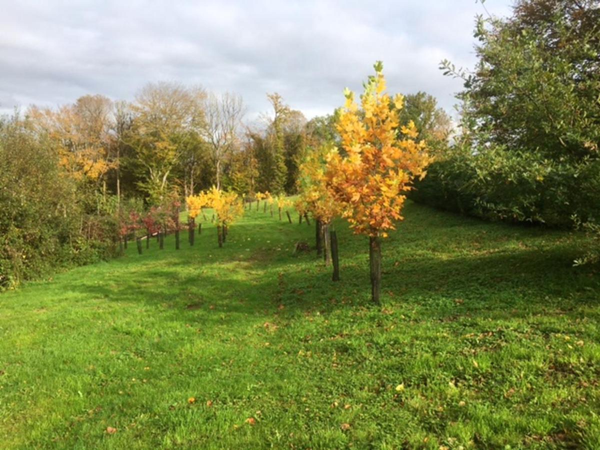Appartement Charmant Orgnac-Sur-Vezere Avec Jardin Et Parking Exterior photo